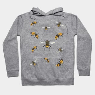 Watercolor honey bees design Hoodie